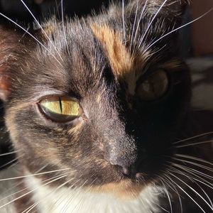 Meet your Posher, Kyla